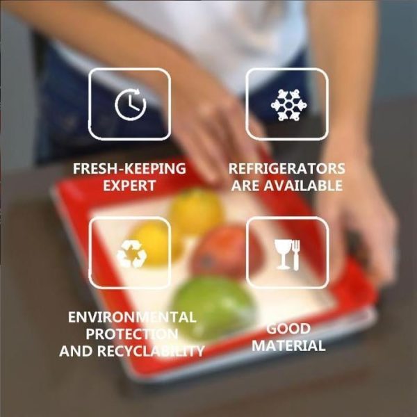 FreshGuard™ – Frischhalteschale Angebot – Bild 5