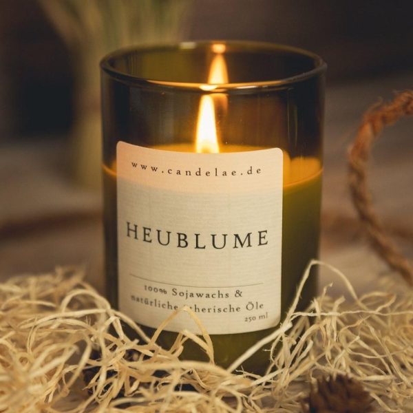 Candelae Duftkerzen Bundle – Vier handgefertigte Sojawachs-Kerzen für sinnliche Momente Angebot – Bild 2