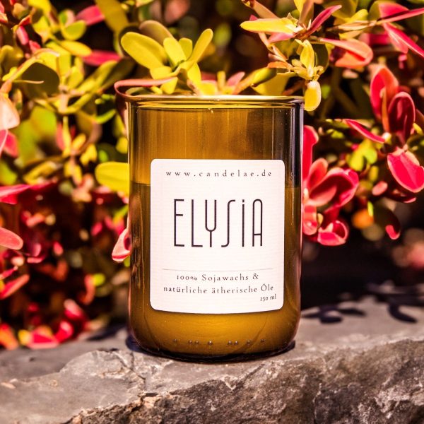 Elysia – Handgefertigte Duftkerze aus Sojawachs mit holzig-floralen Noten für pure Entspannung Rabatt
